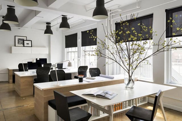 Phòng làm việc sử dụng gam màu trắng chủ đạo cùng yếu tố cây xanh tạo sự thân thiện, tươi mát cho không gian